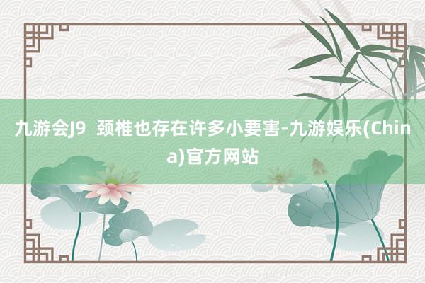 九游会J9  颈椎也存在许多小要害-九游娱乐(China)官方网站