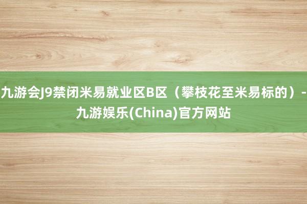 九游会J9禁闭米易就业区B区（攀枝花至米易标的）-九游娱乐(China)官方网站