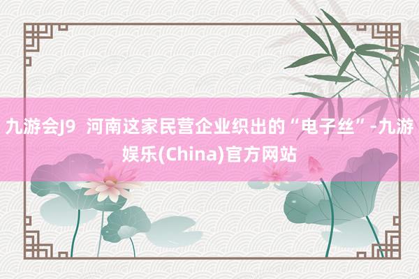 九游会J9 河南这家民营企业织出的“电子丝”-九游娱乐(China)官方网站